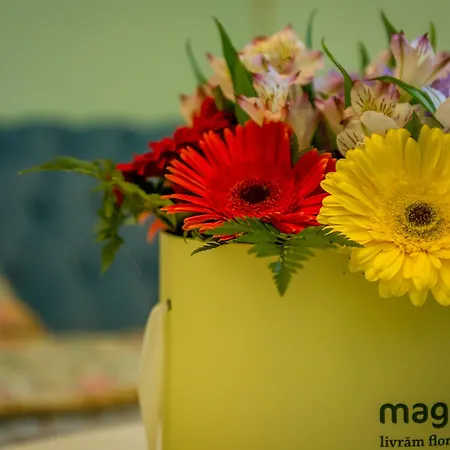 Jmr Royal -luxury & Private Sauna Κονστάντζα