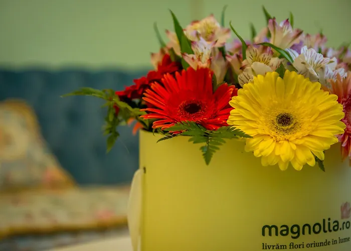 Jmr Royal -luxury & Private Sauna Constanţa